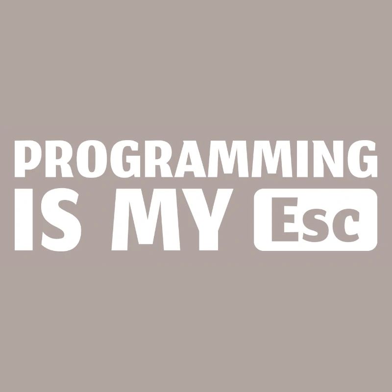 Informatik IT Programmierer