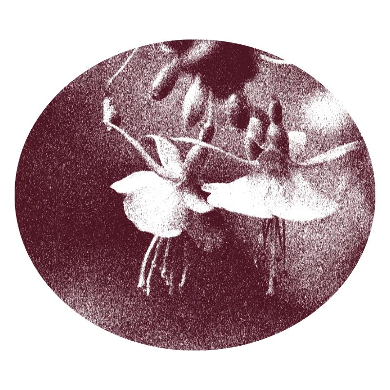 blume retro