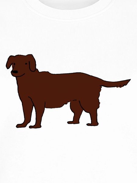 Labrador