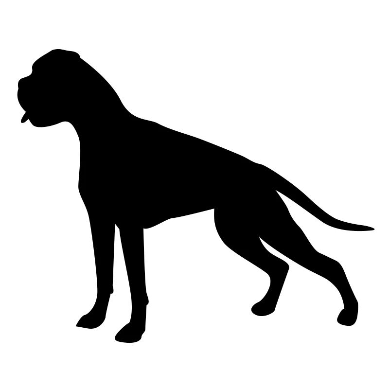Boxer