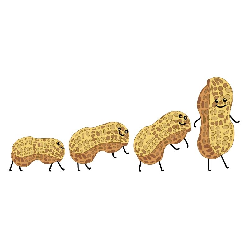 Erdnuss Evolution