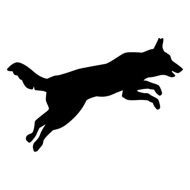 Agility