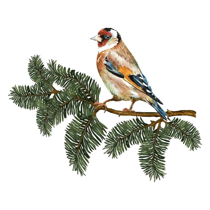 Bunter Vogel