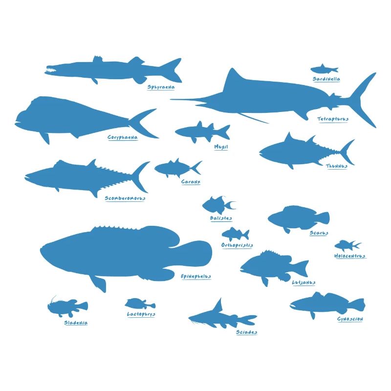 Poisson marin 01