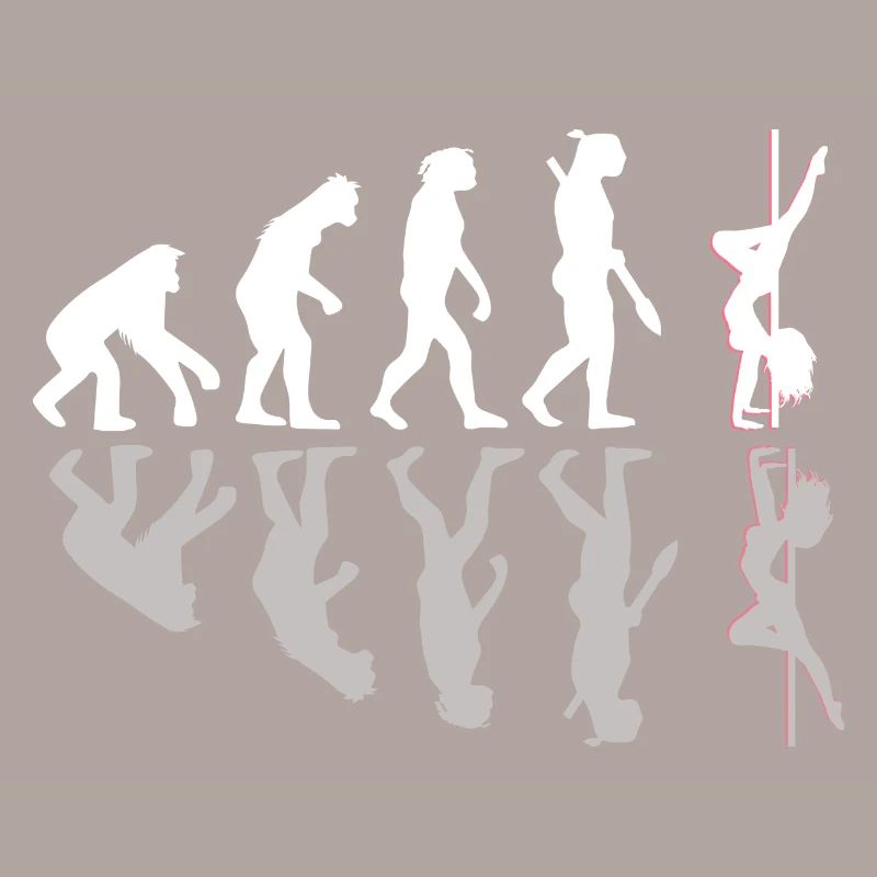 Pole Dance Evolution Geschenk Schatten