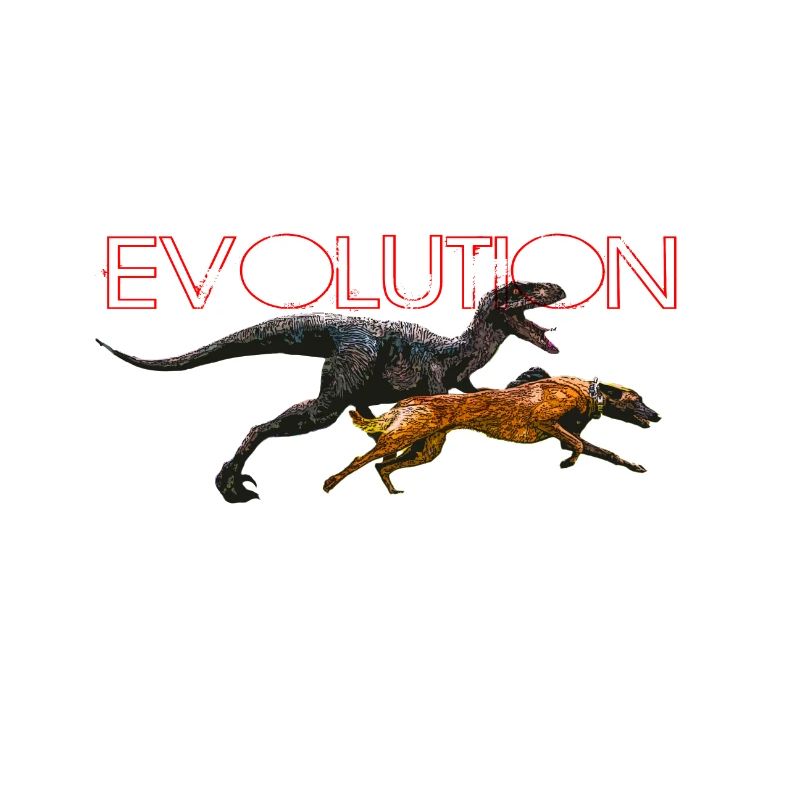 Evolution Comic Dog