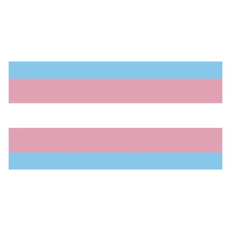 trans pride
