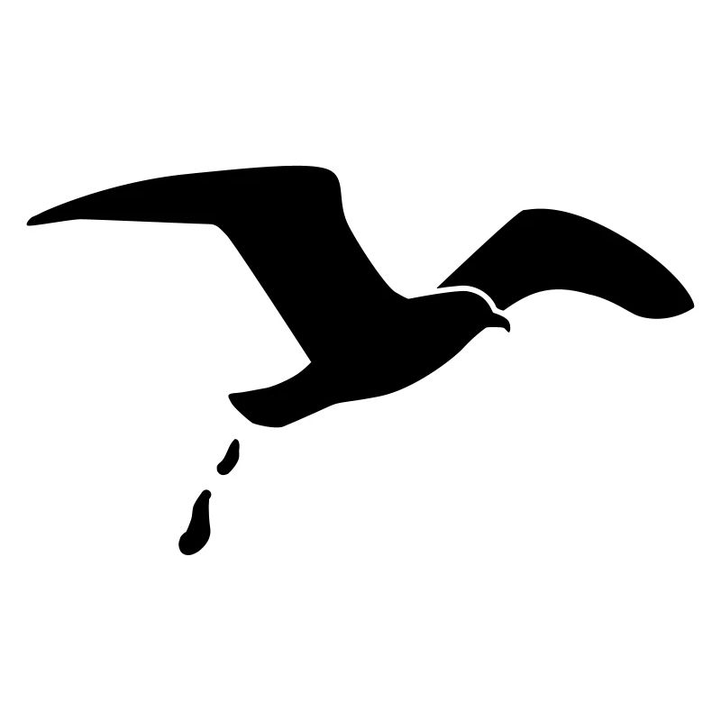 Goéland mouette