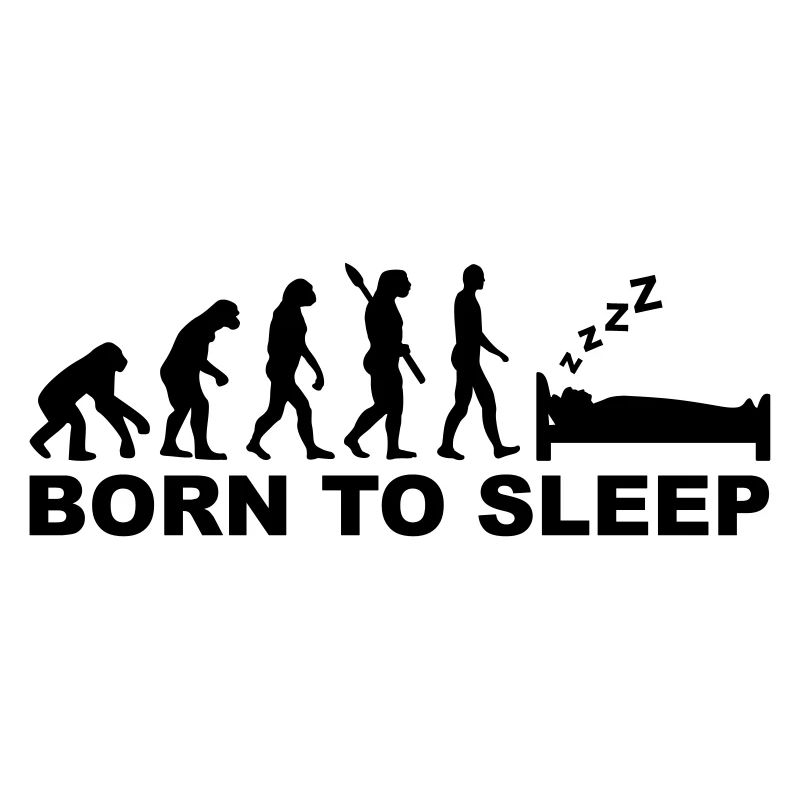 Evolution Dormir