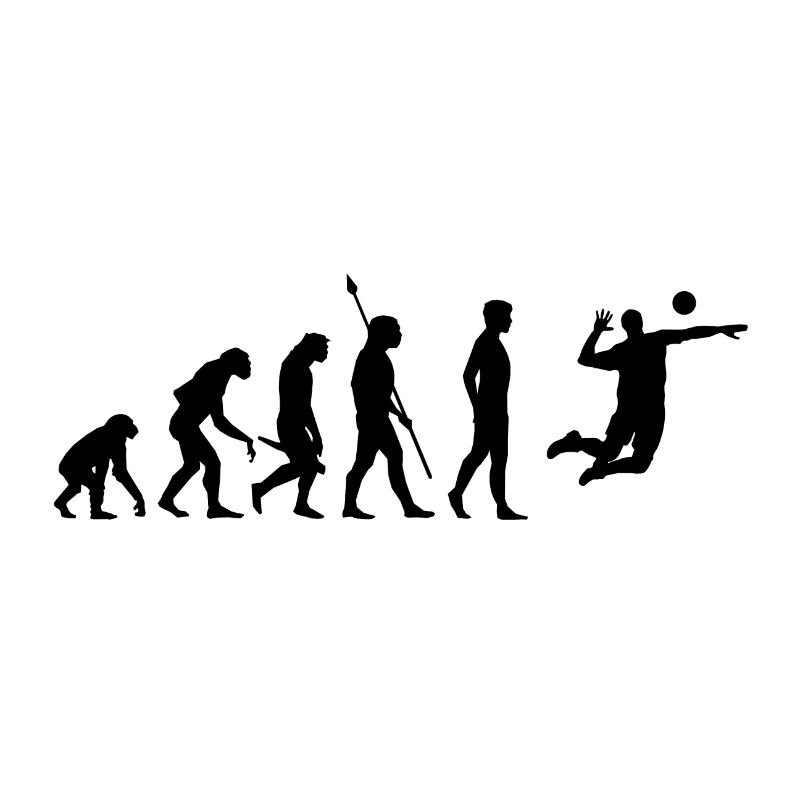 Volleyball Beachvolleyball Evolution