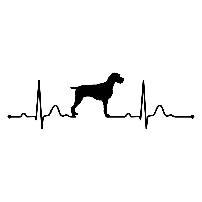 DEUTSCH DRAHTHAAR - GERMAN WIREHAIRED POINTER