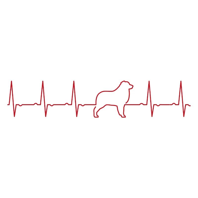 EKG Aussie