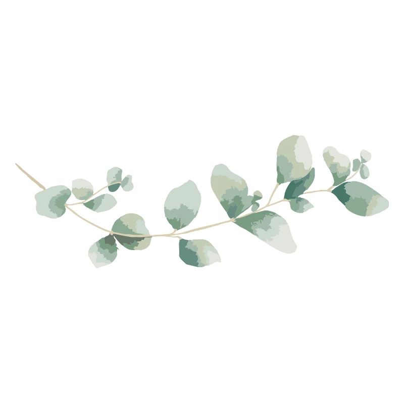 Eukalyptus