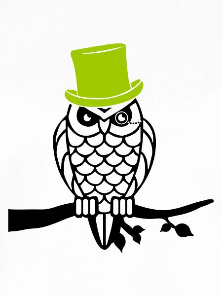 owl sir