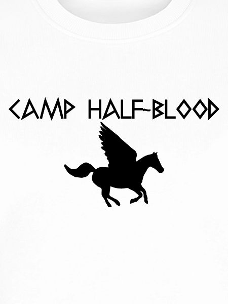 Camp-Grafik