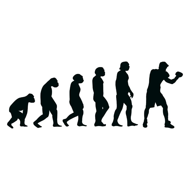 Evolution Boxe - Bo