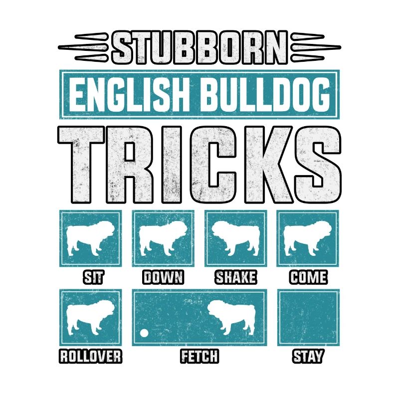 Astuces de bouledogue anglais têtus