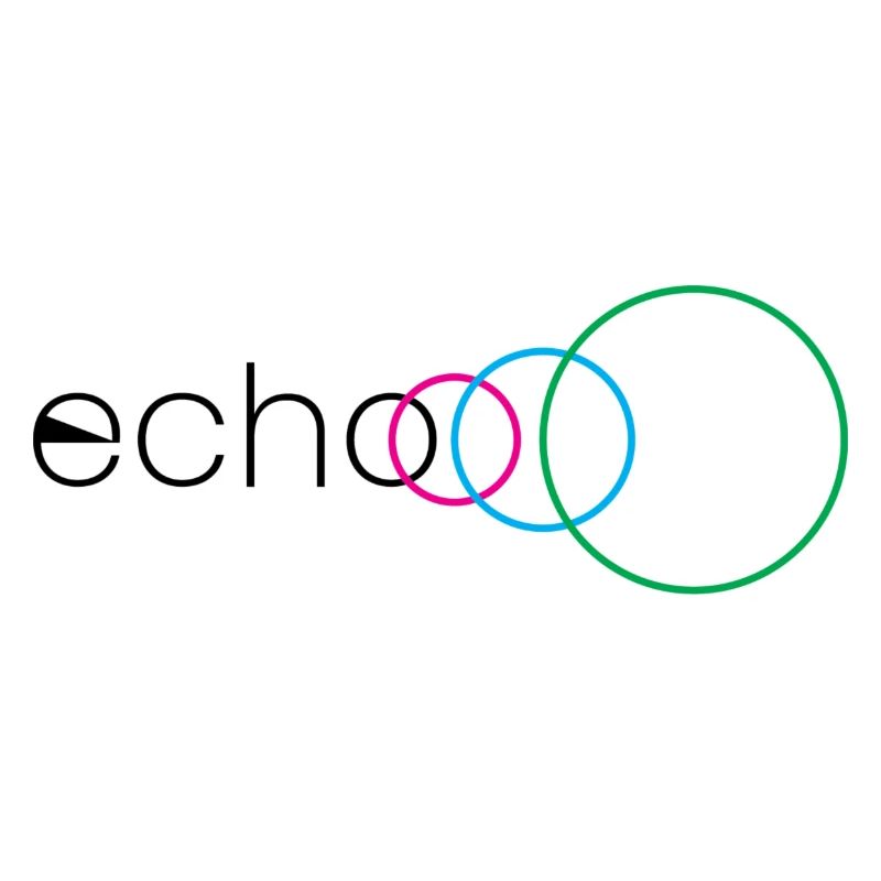 Echo logo with 4 colors