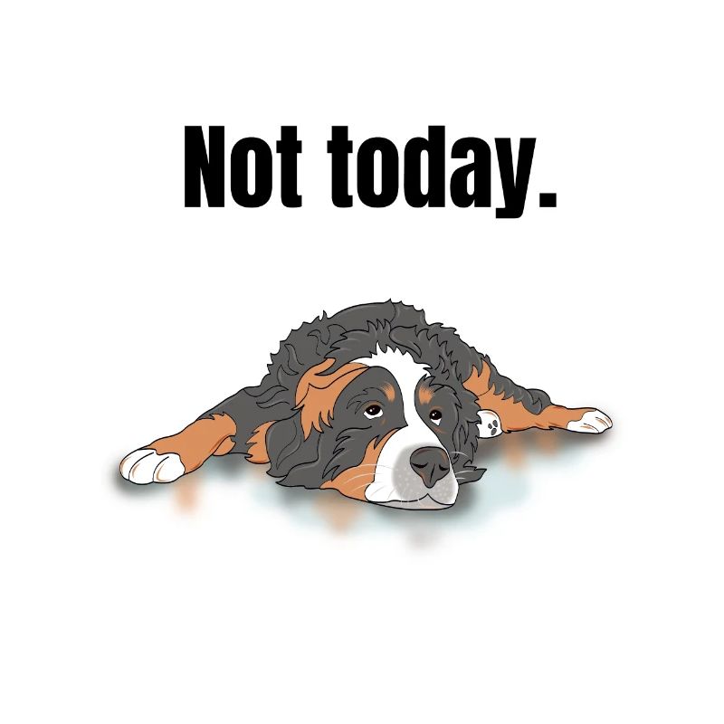 Berner Sennenhund Geschenk