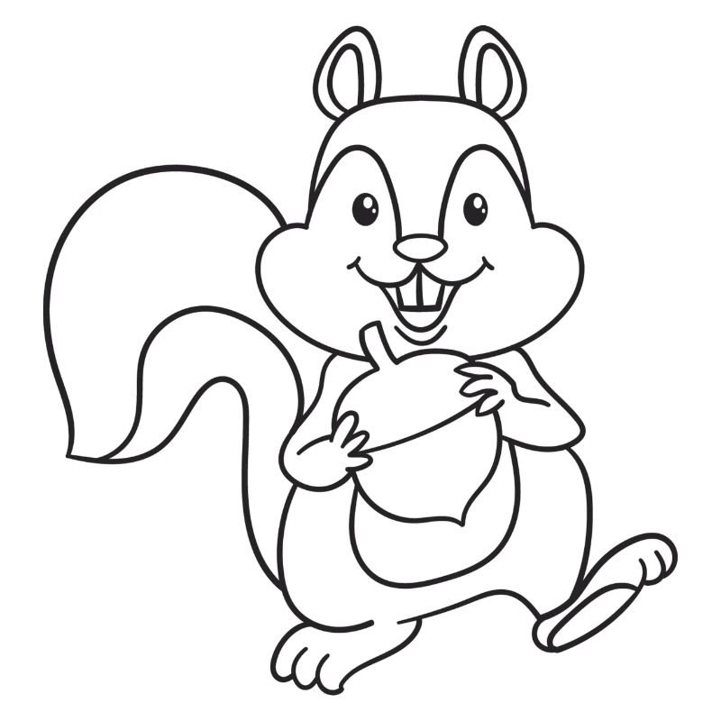 Eichhörnchen, Nagetiere, Geschenk, Geschenkidee