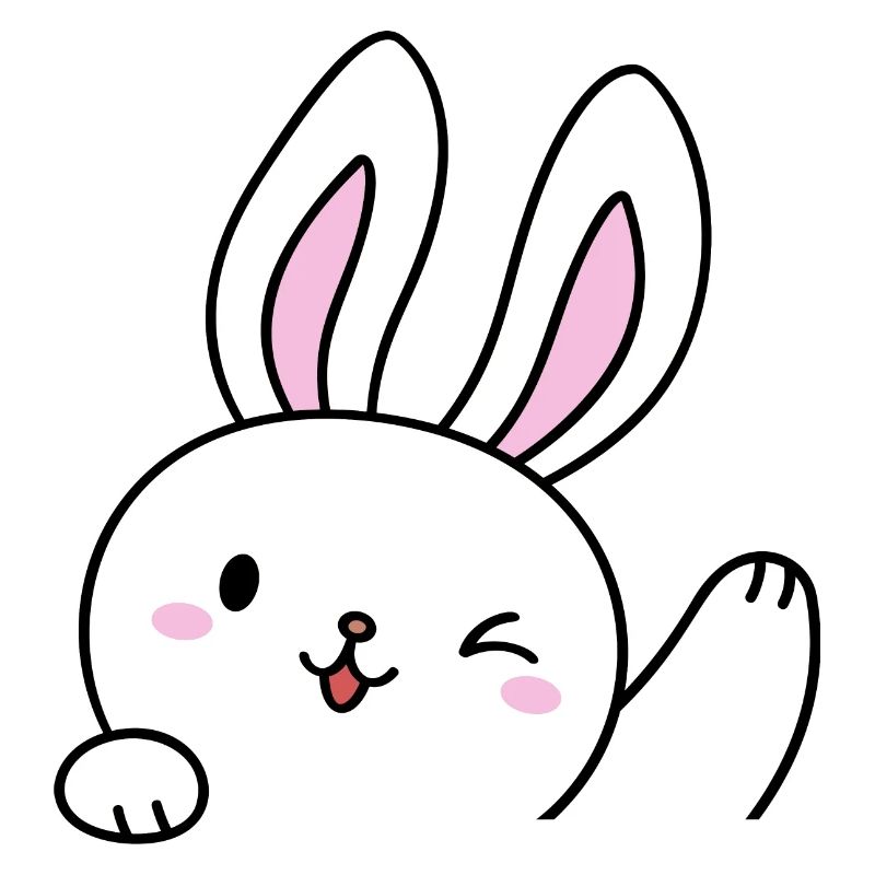 Coquette Lapin Esthétique