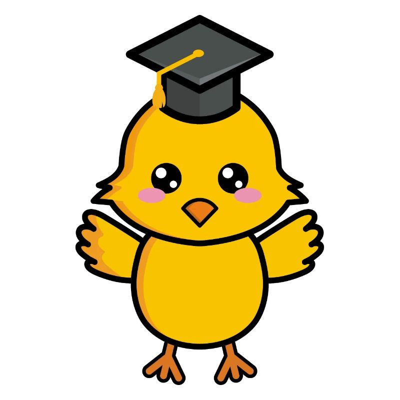 Chicks School Leaving Certificate School Studies