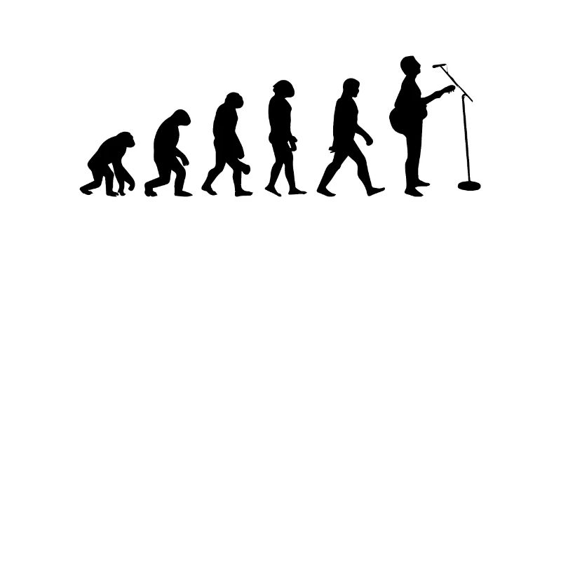 Evolution der Gitarre