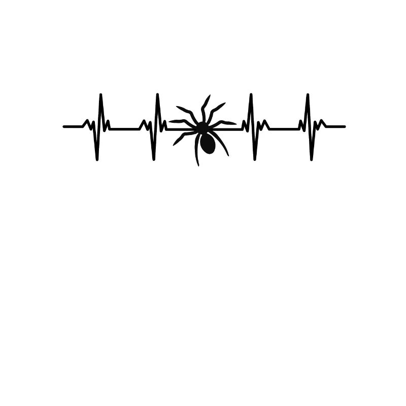 Spiders Spider web web arachnid legs 8 spider