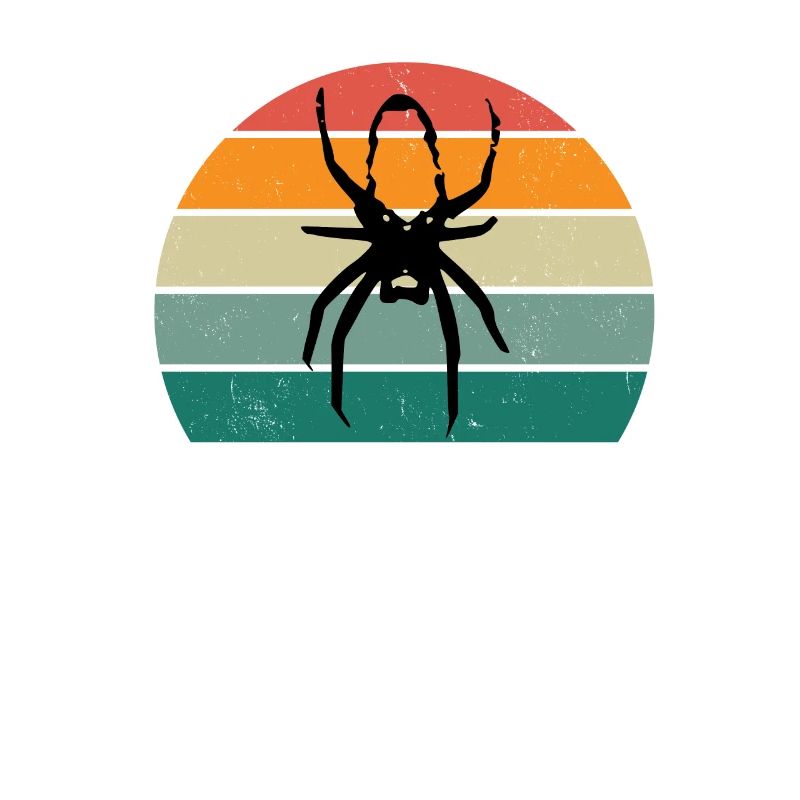 Spiders Spider web web arachnid legs 8 spider