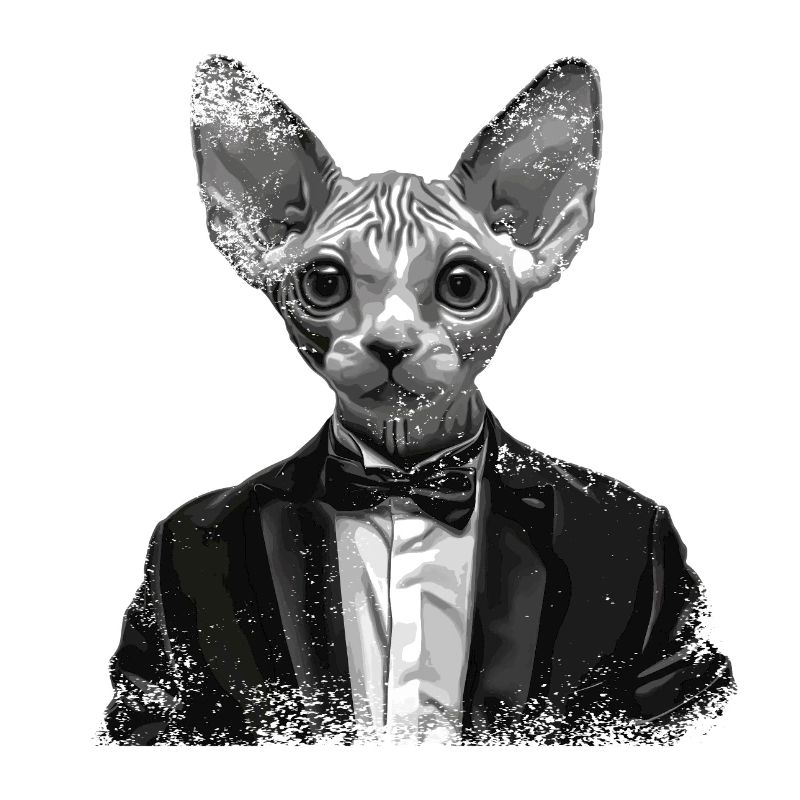 Chefkatze
