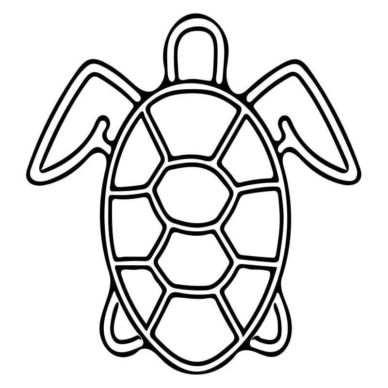 Vector Tortue