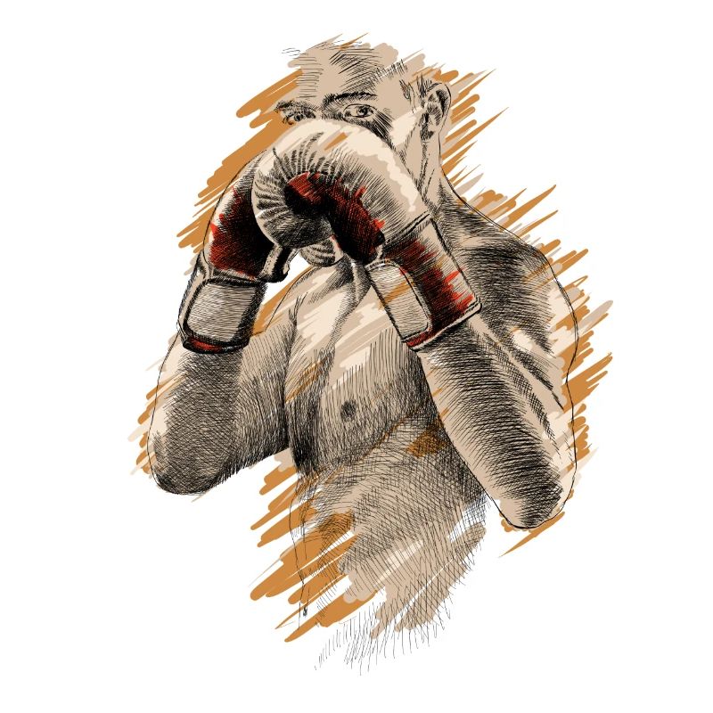 Boxer