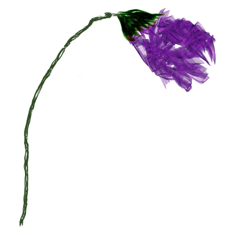 Fleur de violette à surface abstraite