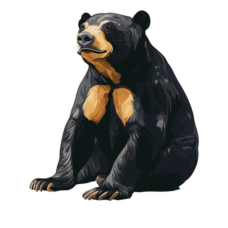 Sun Bear Malaienbär