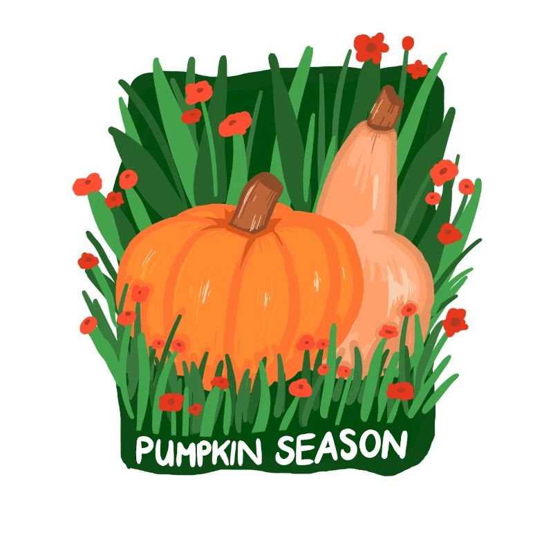 Saison des citrouilles – Conception de la récolte d’automne