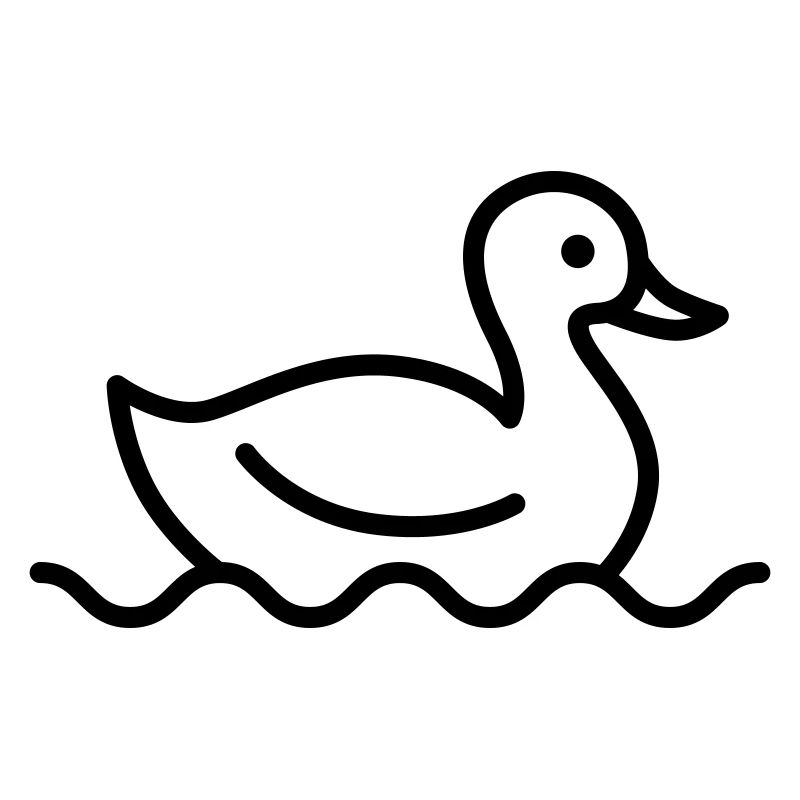 Canard