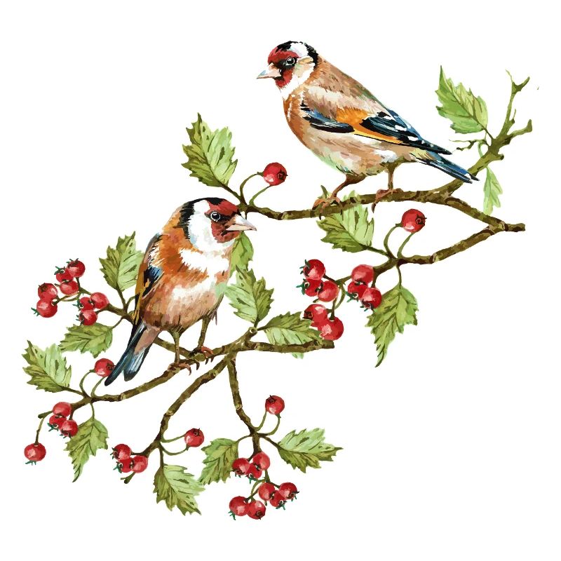 Bunte Vögel