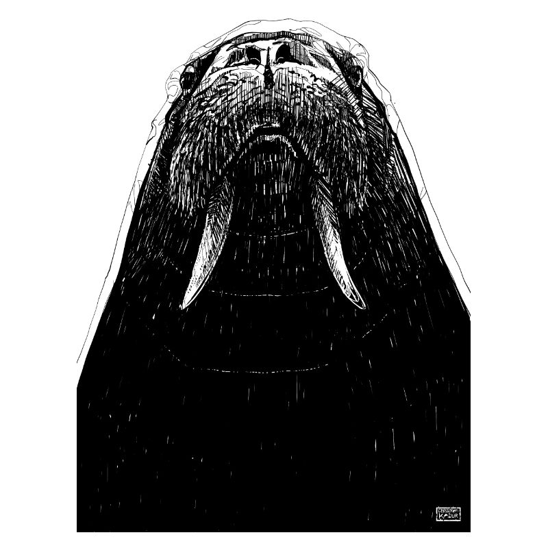 Dessin de morse
