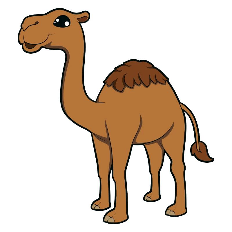 Kamel