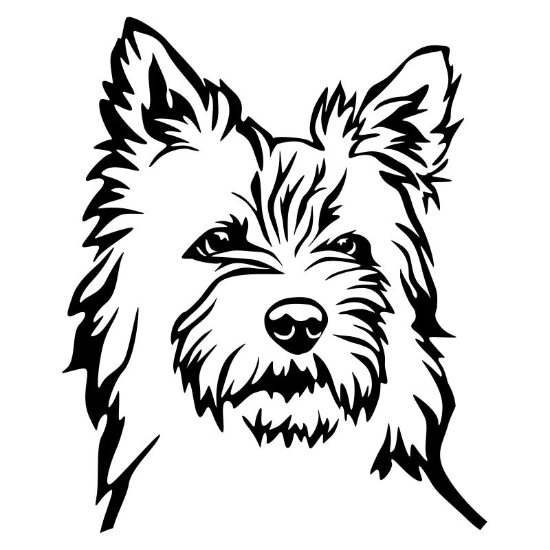 Cairn Terrier