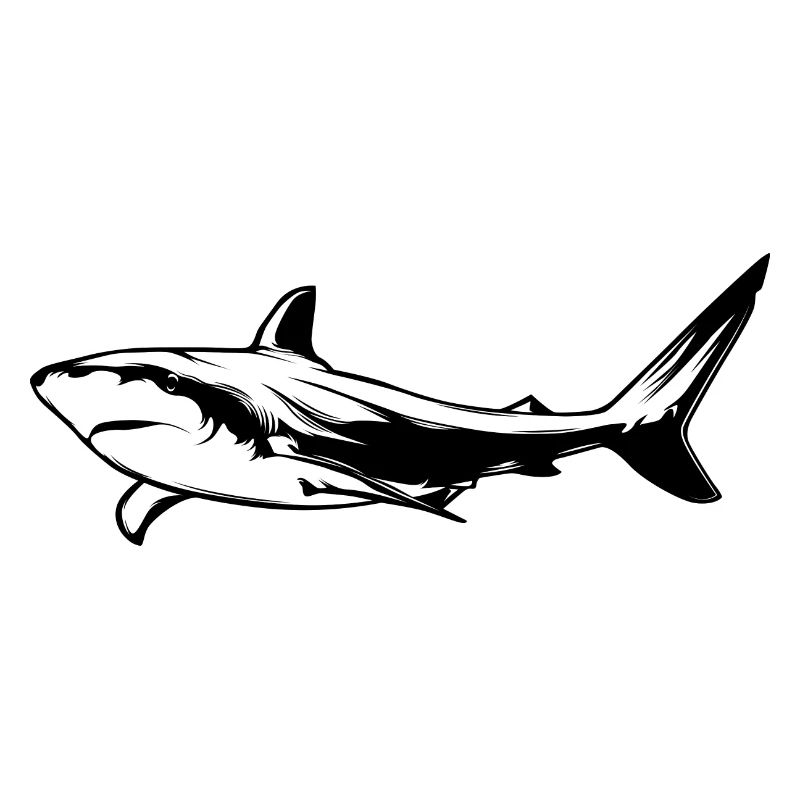 Silhouette d’animal de requin