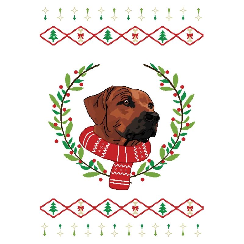 Pull de Noël laid Rhodesian Ridgeback