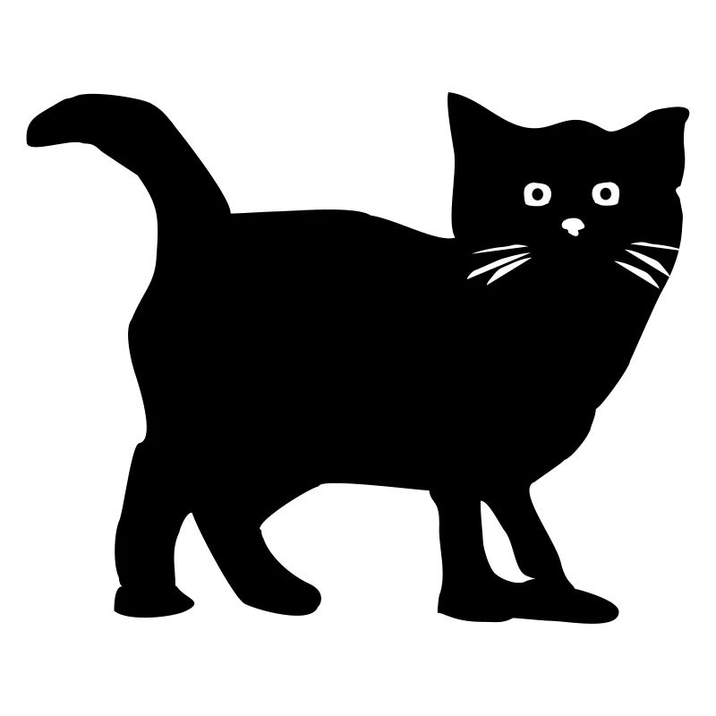 Katze