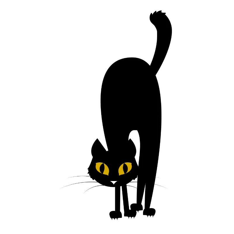 frightened cat