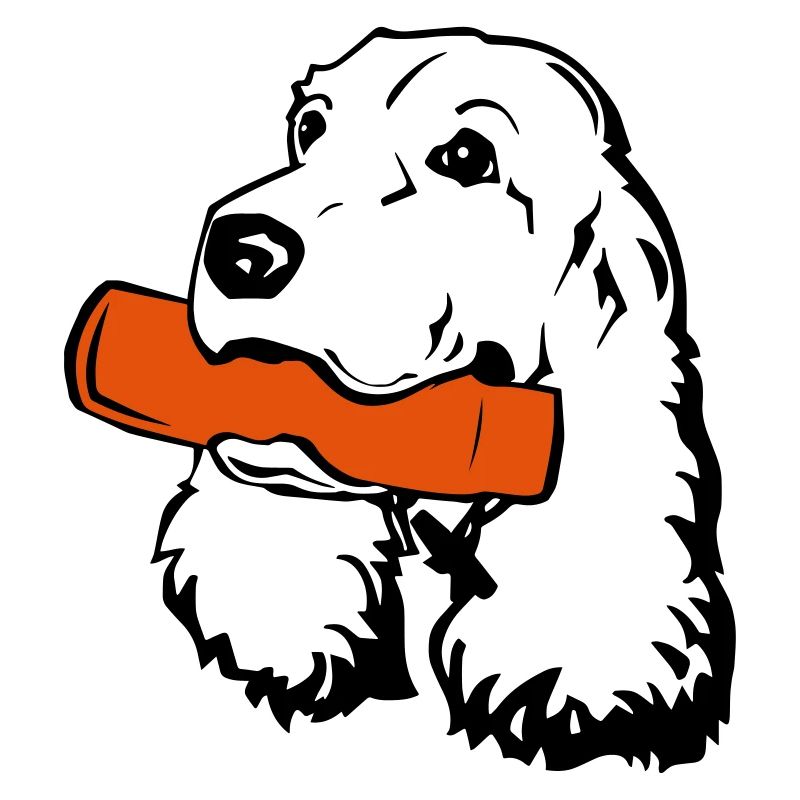 Cocker Spaniel with Dummy