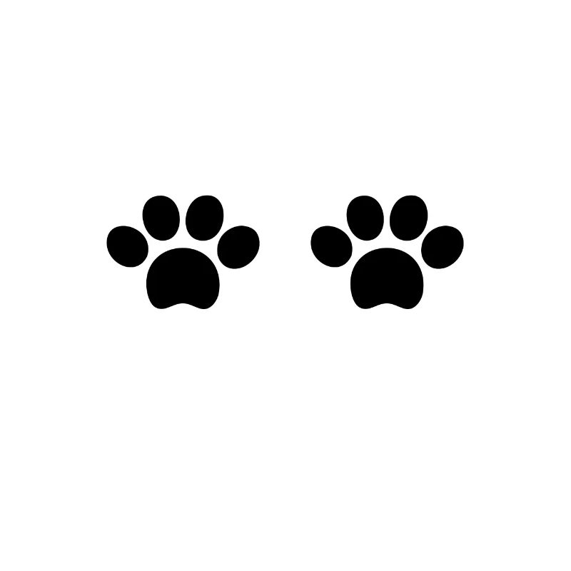 Pattes de chat