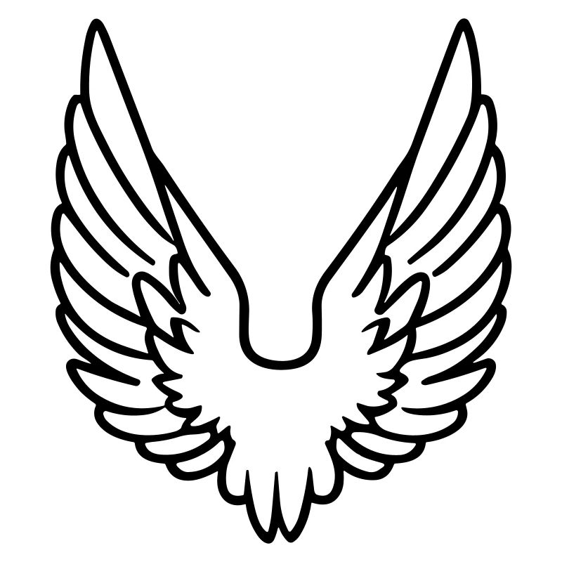 Ailes d'ange