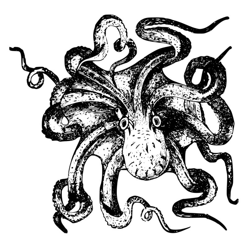 Oktopus