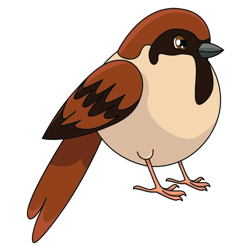 Spatz