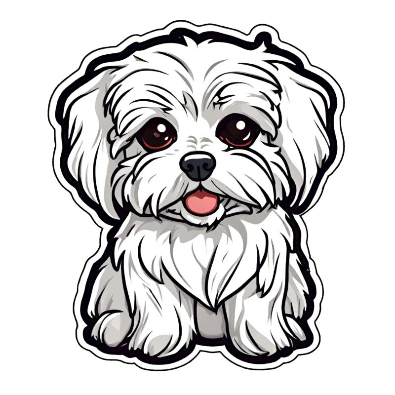 Mignon Chiot Maltais Petit Chien Mignon Blanc